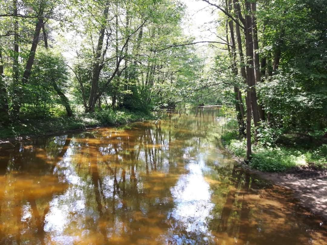 Mazury Domek Caloroczny Pelnik Jezioro Las Экстерьер фото